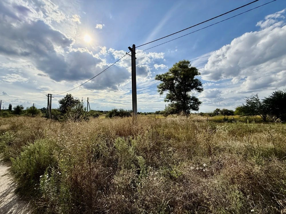Land plot 20 acres, Bereznivka, Ivan Ohiienko
