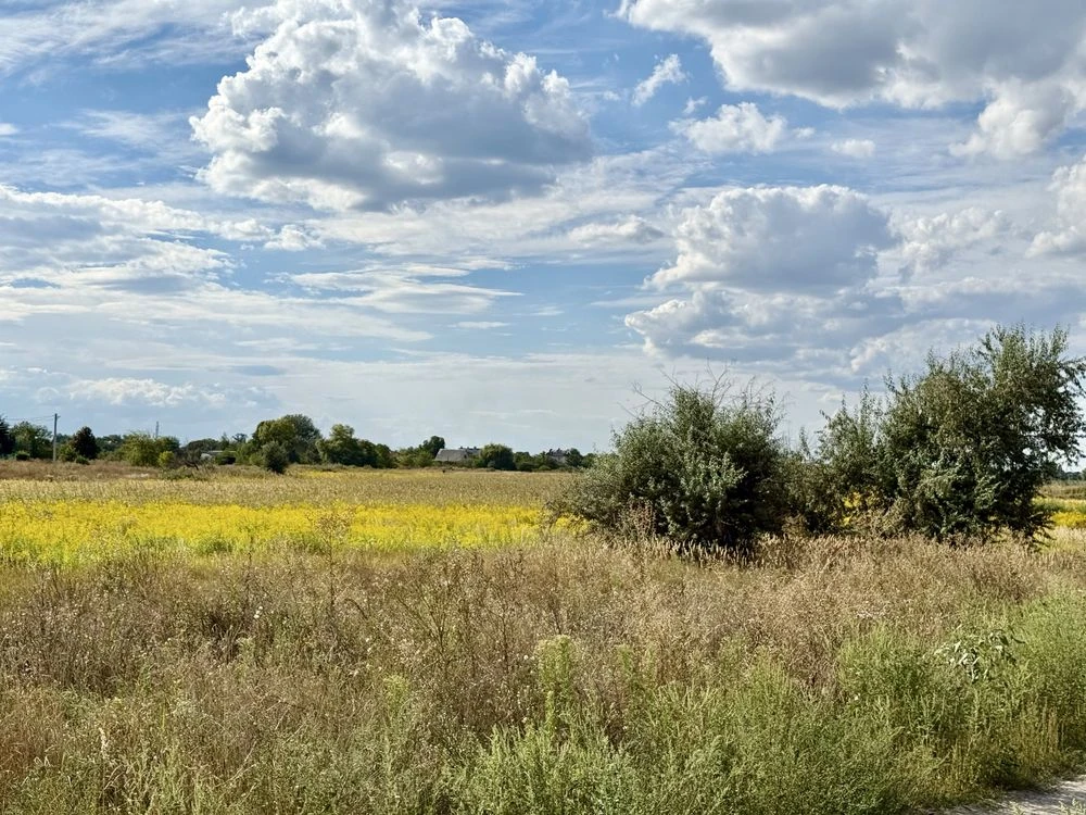 Land plot 20 acres, Bereznivka, Ivan Ohiienko
