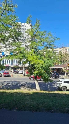 3-комнатная квартира на Вильямсе