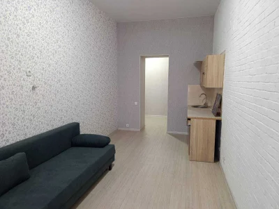 Center, Kanatnaya / M. Arnautskaya, Smart apartment with renovation
