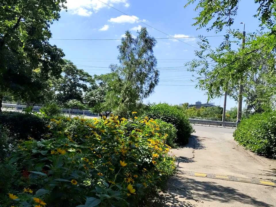 Квартира. Днепр, ул.
