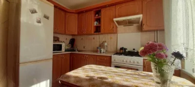 1-room apartment for sale, Aviacionna Cheshka, Levandivka