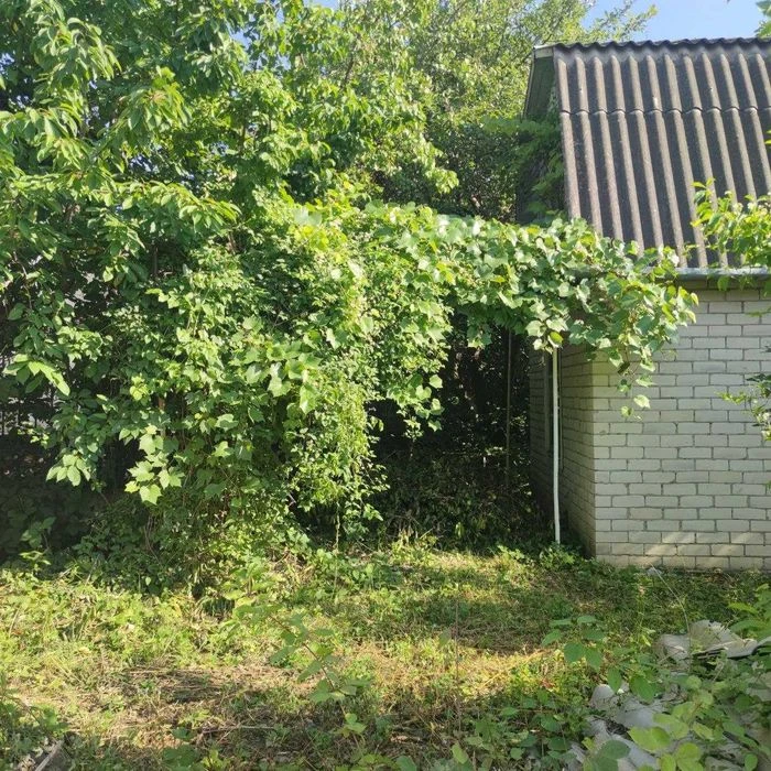 Дача під дачу, масив електроніка за Катіоном.