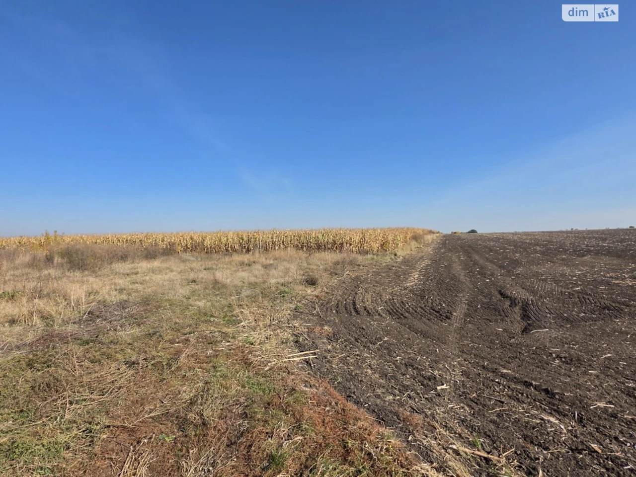 Продаж Земля сільськогосподарського призначення
