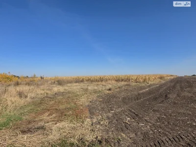 Продаж Земля сільськогосподарського призначення