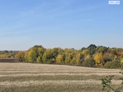 Продаж Земля сільськогосподарського призначення Дальнє замос