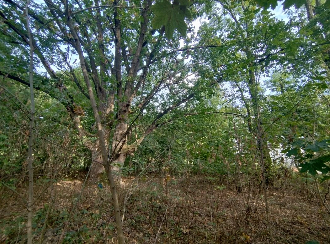 Land for sale in a residential area of Zhytomyr