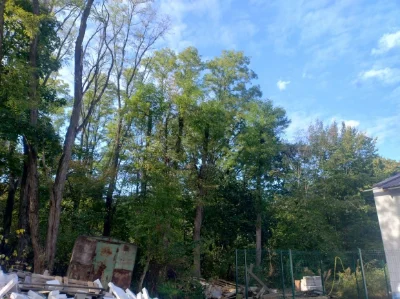 Land for sale in a residential area of Zhytomyr