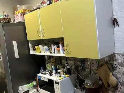 Apartment. Ushinsky Street, Kyiv