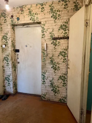 Apartment for Sale: One-Room Apartment in a Brick House in Sherstya