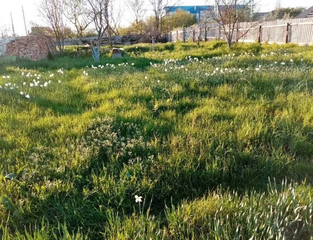 Продам земельну ділянку 10 соток Стара Балашівка
