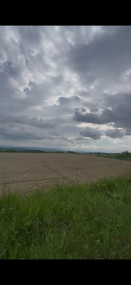 Продамо земельну ділянку  с.Старуня