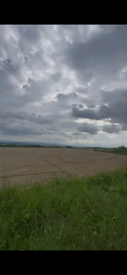 Продамо земельну ділянку  с.Старуня