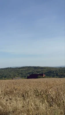 Продамо земельну ділянку  с.Старуня