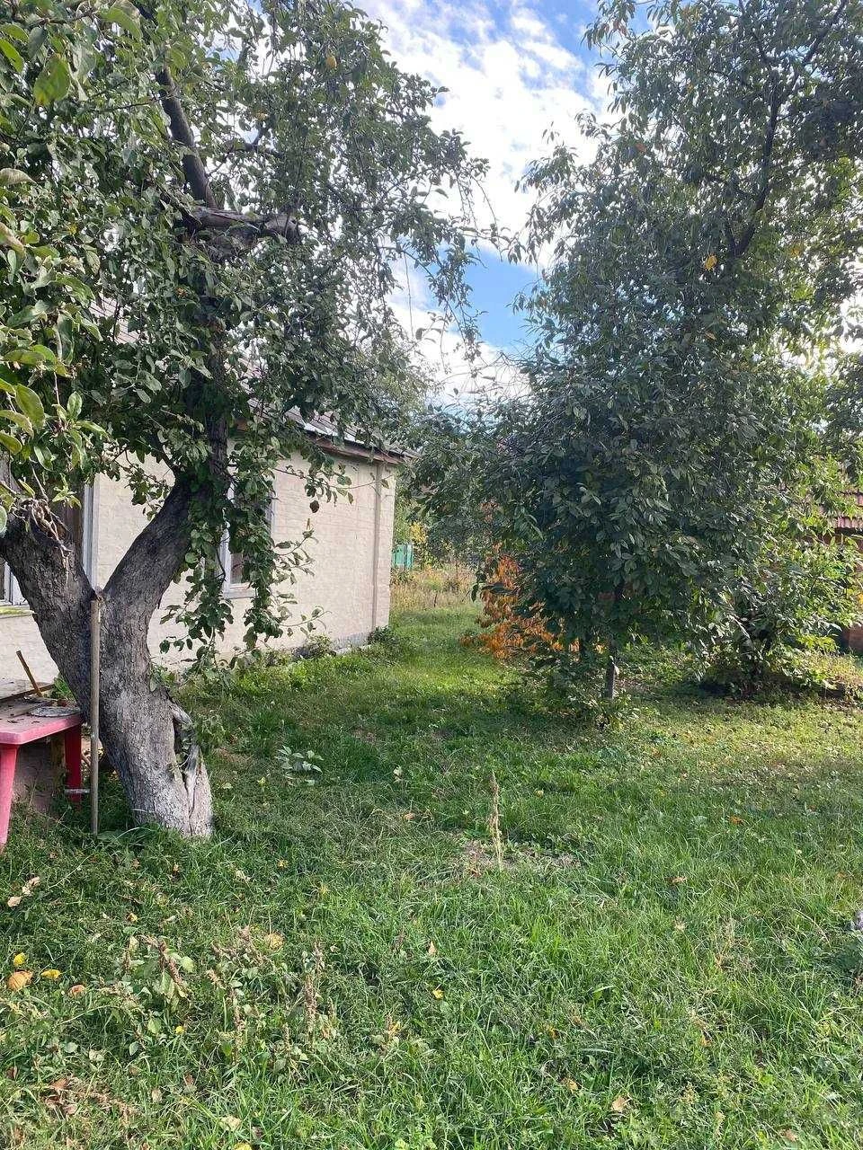 House with a large plot in the city !!
