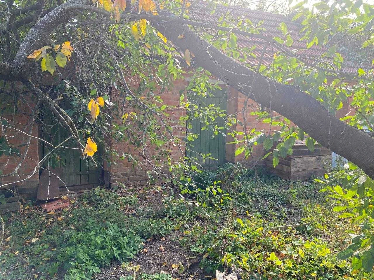 House with a large plot in the city !!