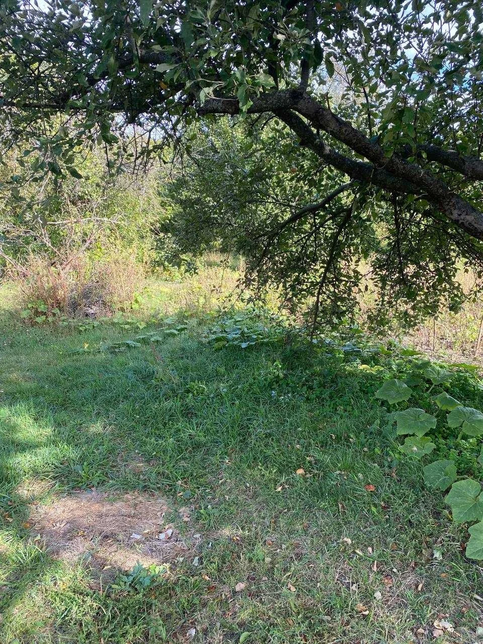 House with a large plot in the city !!