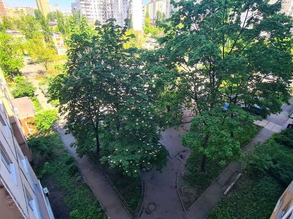 Квартира. Київ, Левка Лук'яненка вул.