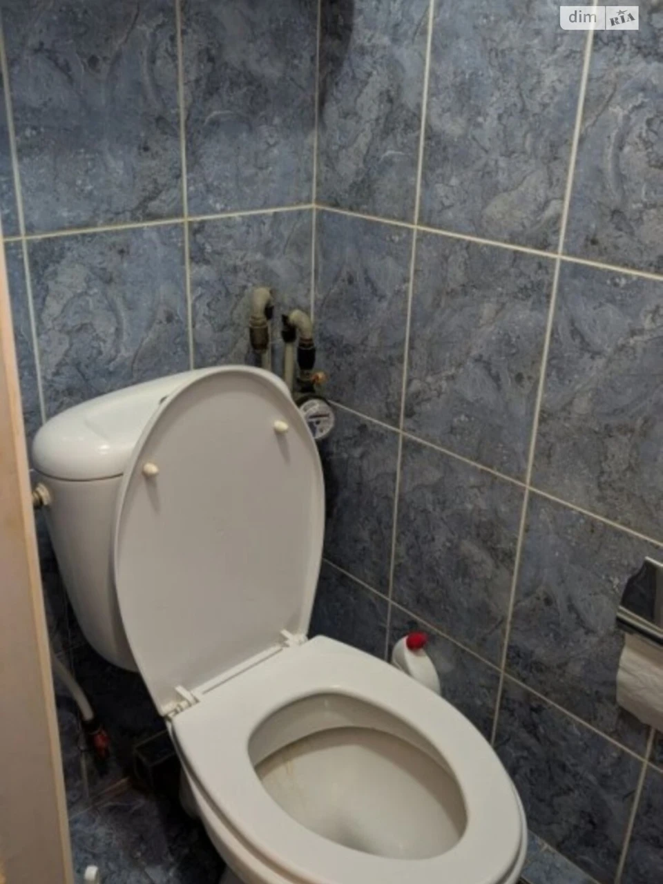 Apartment for Sale, Holosiiv