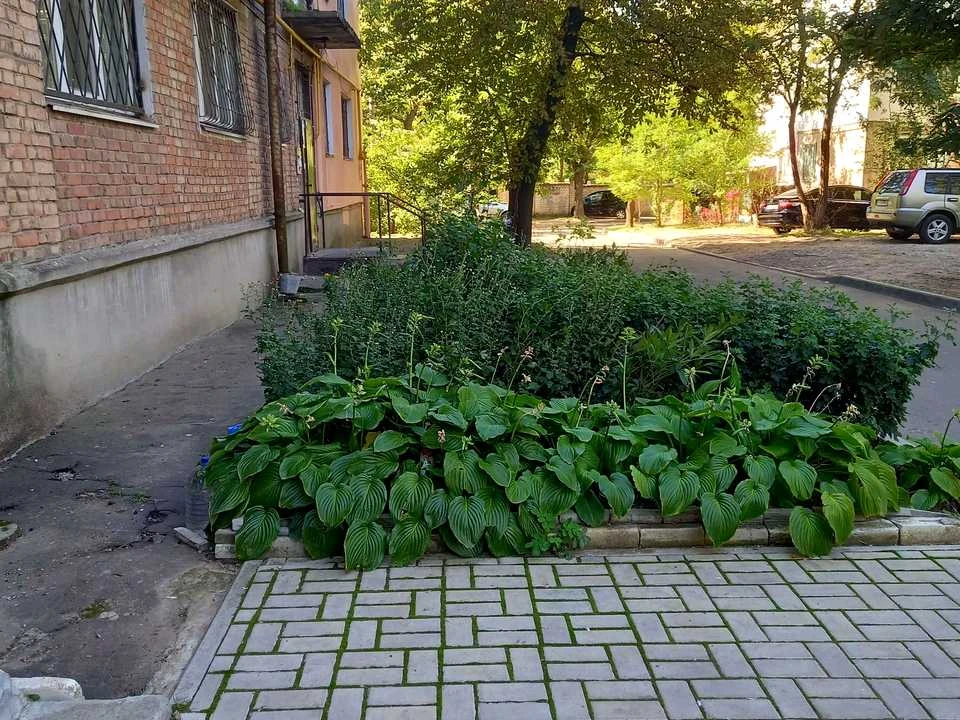Квартира. Миколаїв, Паркова вул.