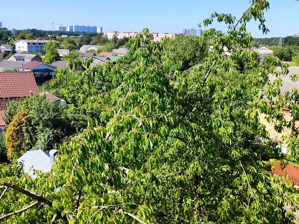 Квартира. Київ, Академіка Заболотного вул.
