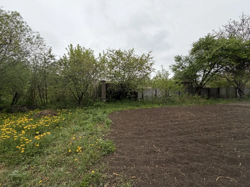 ДІЛЯНКА НА ВИШЕНЬЦІ, ЯКУ СПРАВДІ ВАРТО РОЗГЛЯНУТИ