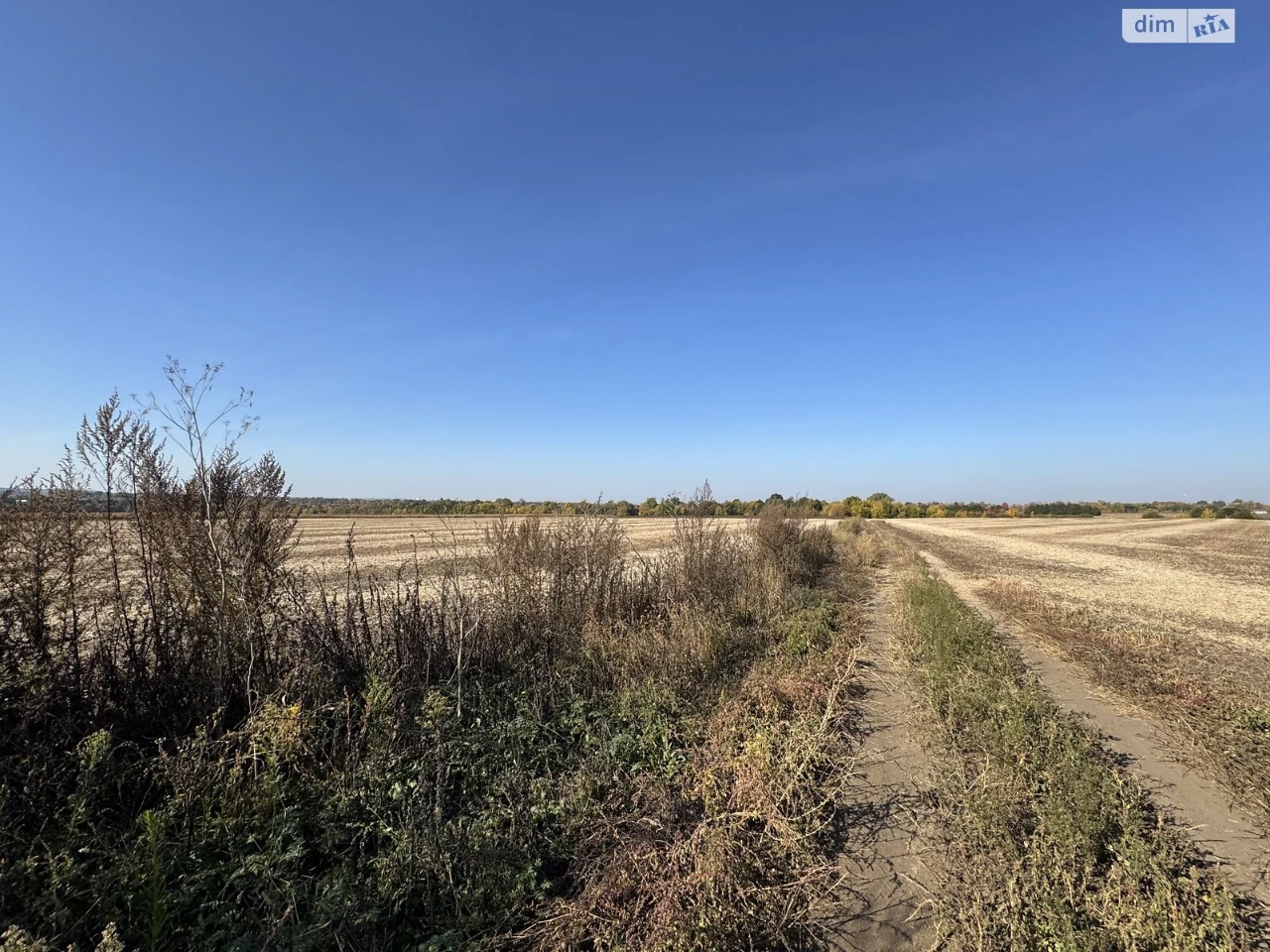 Land for Agricultural Purposes for Sale