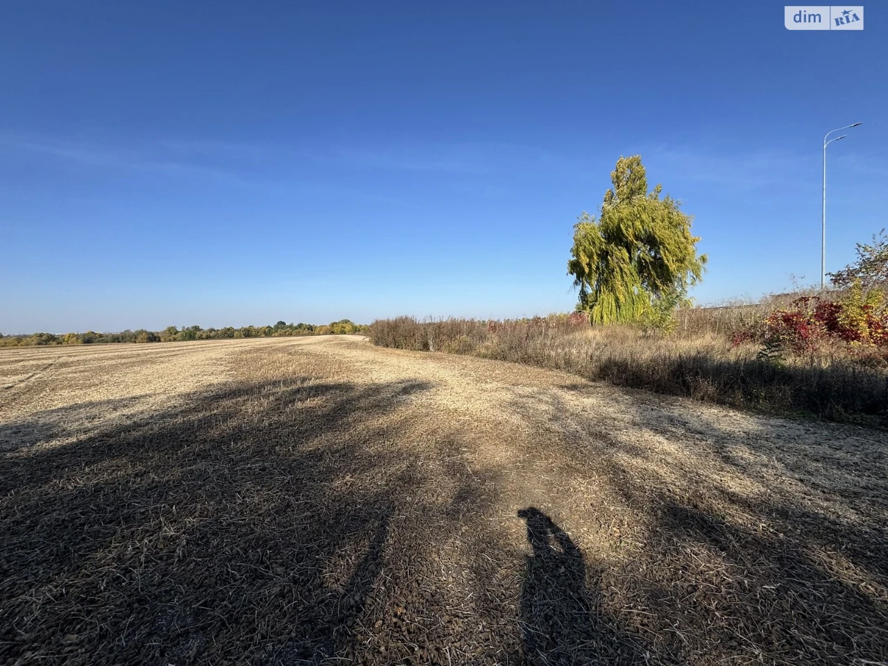 Land for Agricultural Purposes for Sale
