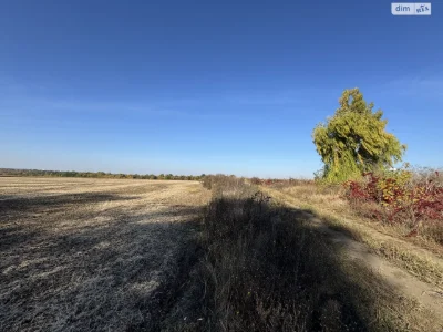 Land for Agricultural Purposes for Sale