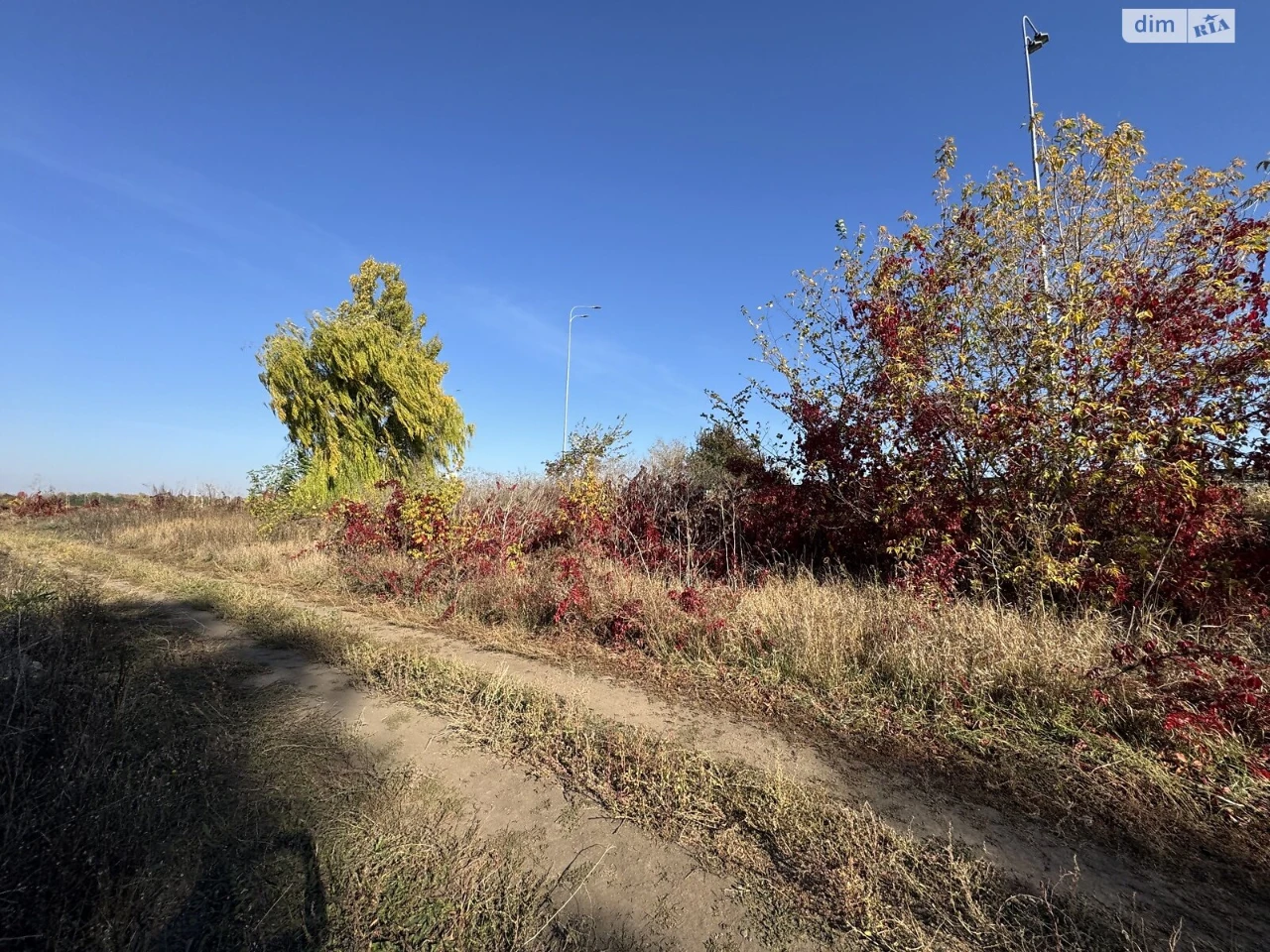 Land for Agricultural Purposes for Sale