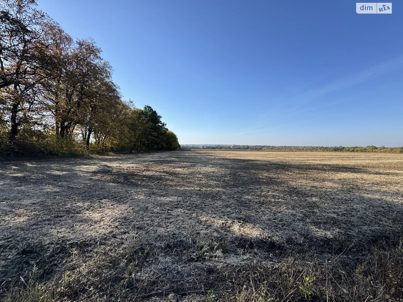 Land for Agricultural Purposes for Sale