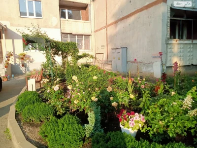Apartment for sale Pivnichna Saltivka