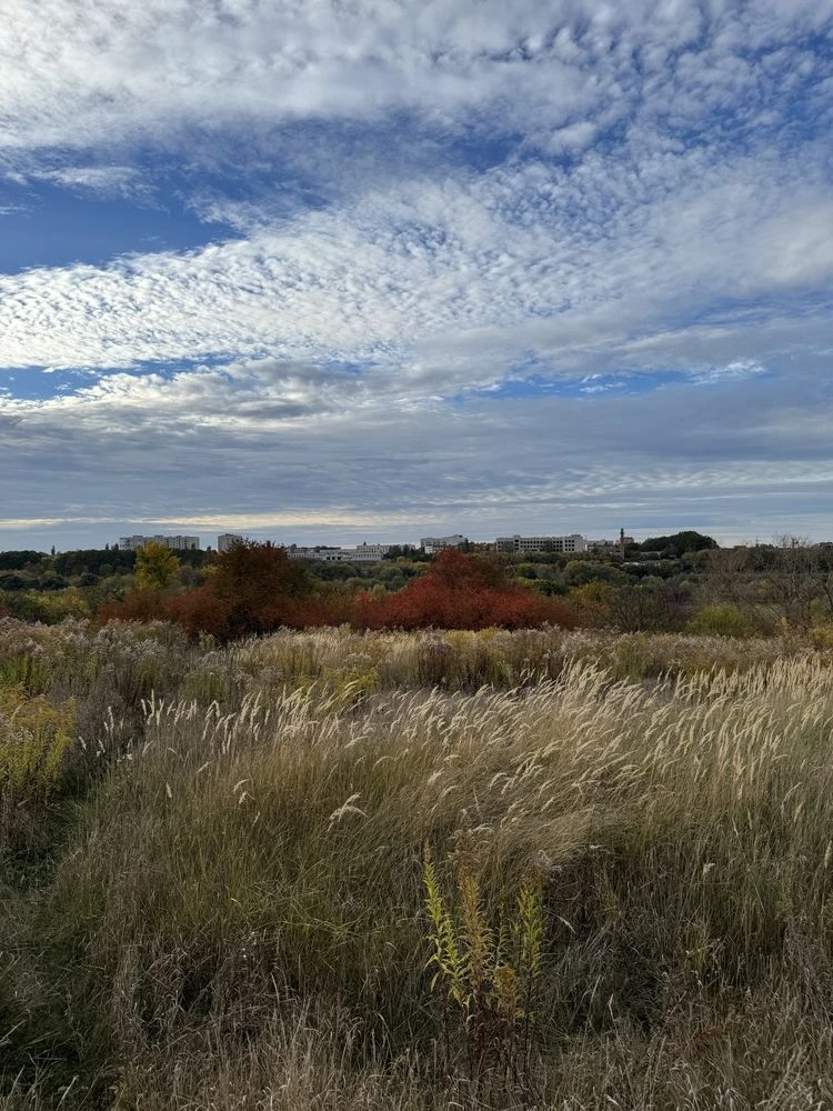 Selling land plot with a view