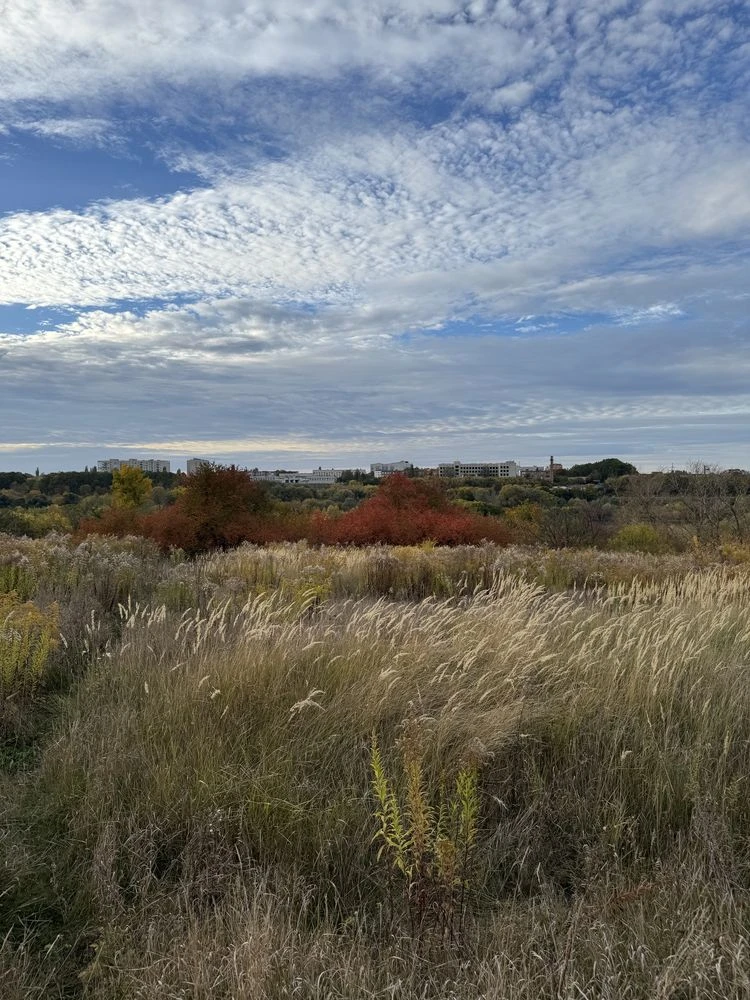 Selling land plot with a view