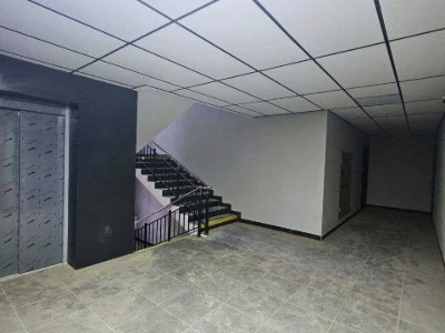 Apartment. Troleysna Street, Lviv