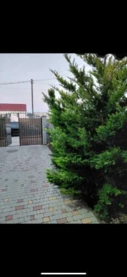 Duplex in Kievsky district