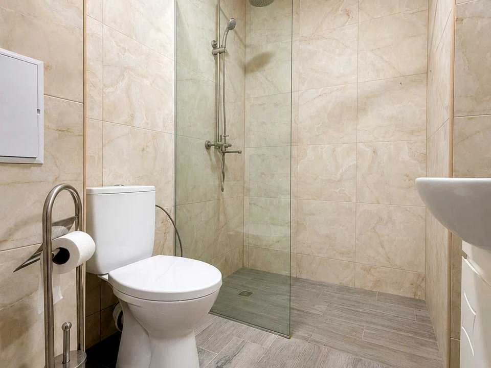 Apartment. Kyiv, Kam'yanska st.