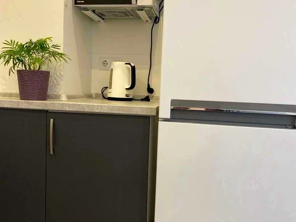 Apartment. European Union Prospect