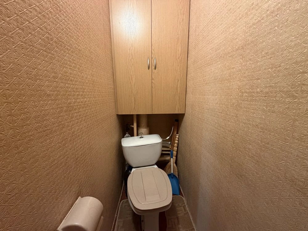 For Sale: 1-bedroom apartment on Troyeschyna, 65, Red Linden.