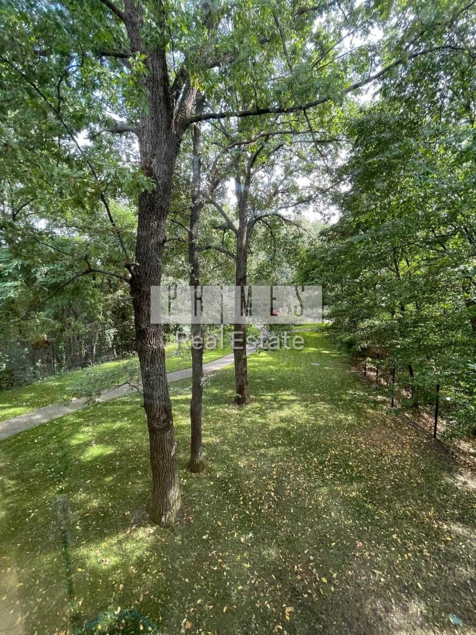 House for Sale in the Forest - 50 Acres Unique Infrastructure