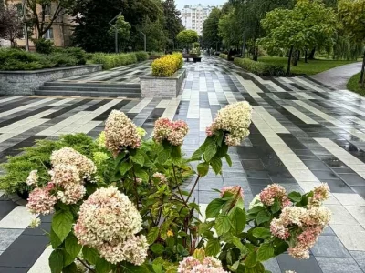 Apartment. Zhytomyr, Zakhysnykiv Ukrainy Street