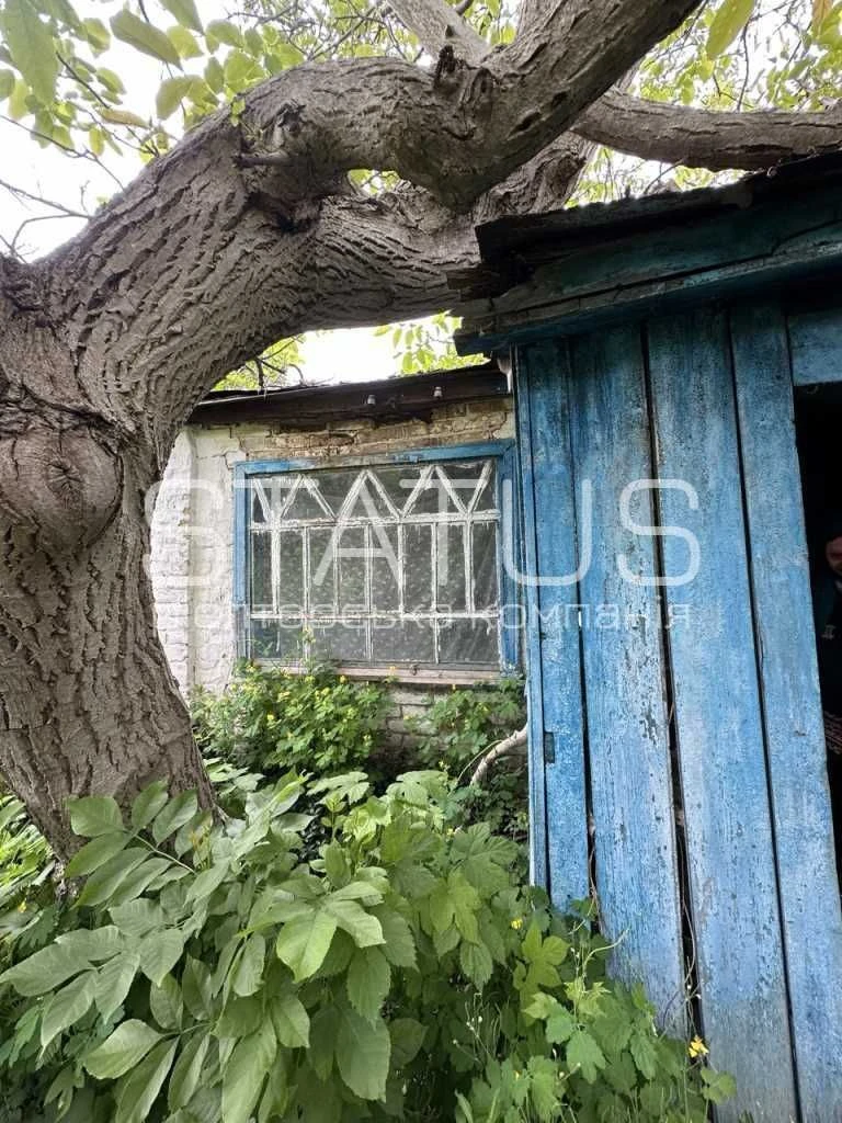 Land for sale in Voronino, affordable!