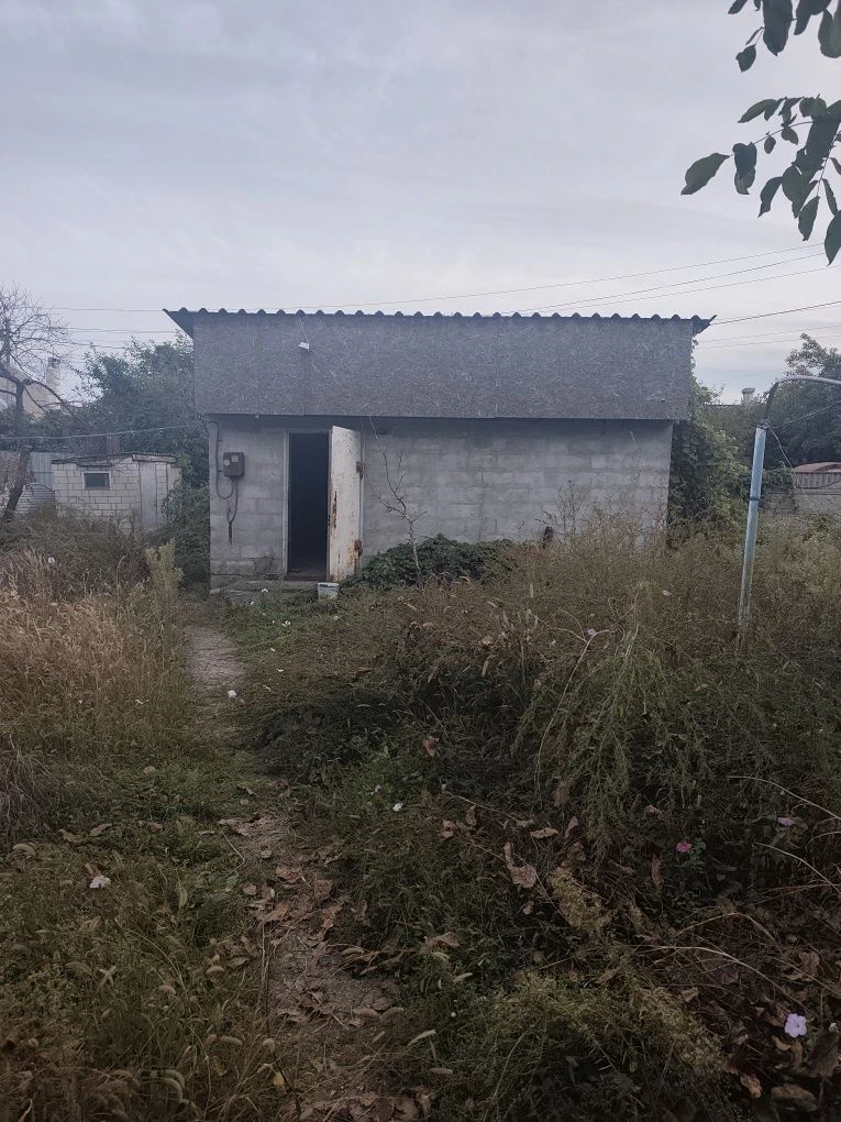 For Sale: House in Diiivka-1