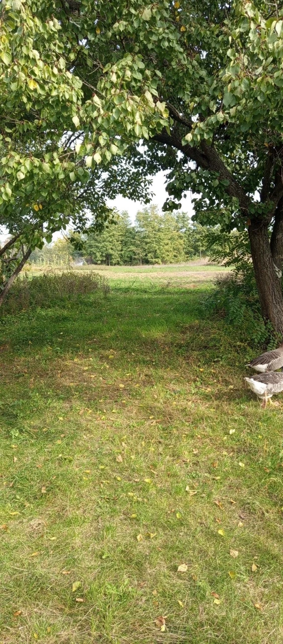 For Sale House in the village of Telepine