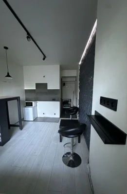 Owner! 1-bedroom apartment renovated, Loft Park residential complex (Kyiv)