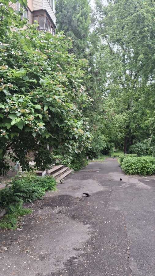 For Sale, One-Bedroom Apartment (31 sq m) in Kyiv, Solomyans'kyi