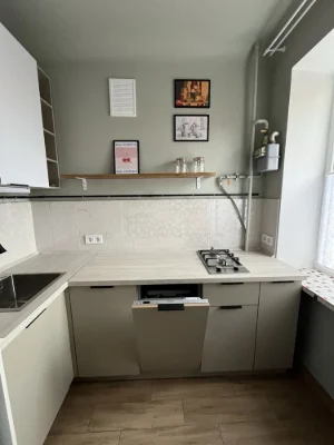 One-bedroom apartment in the center, Khreshchatyk, new renovation