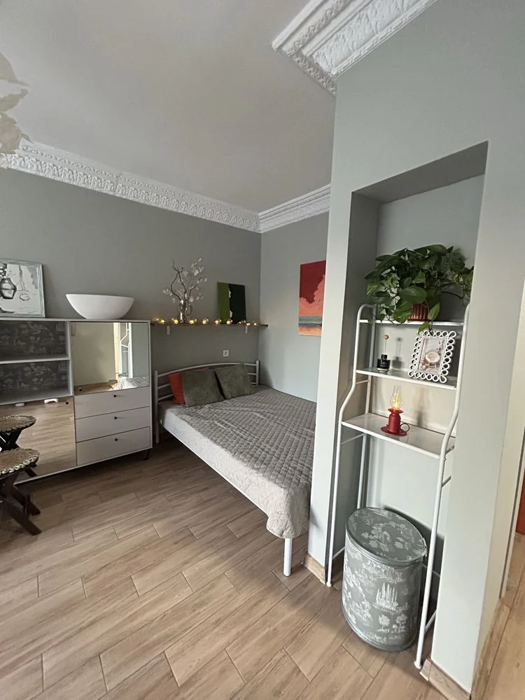 One-bedroom apartment in the center, Khreshchatyk, new renovation