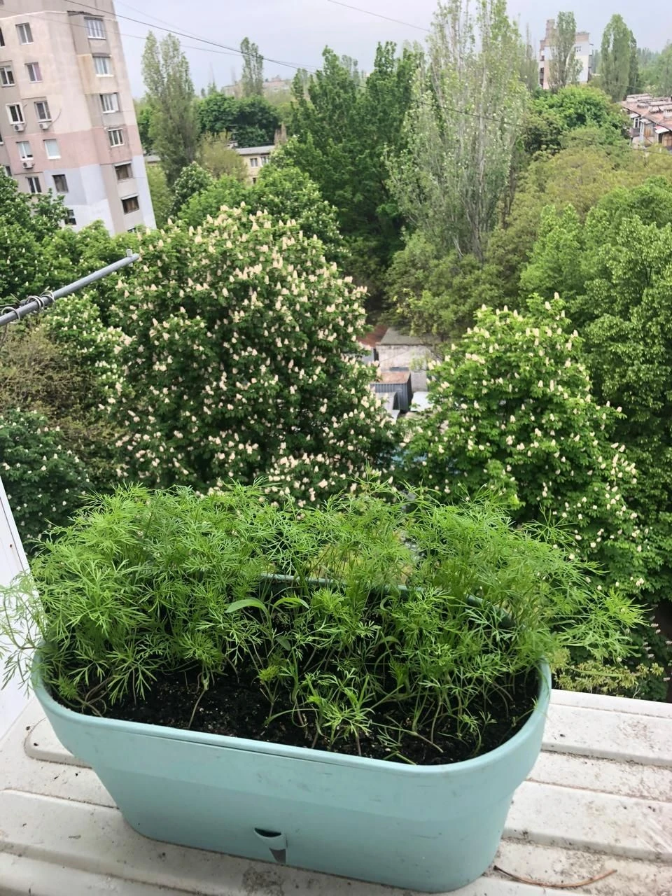 Продам 3х к квартиру Генерала Петрова/ Рядом Шторм/ Парк Гор