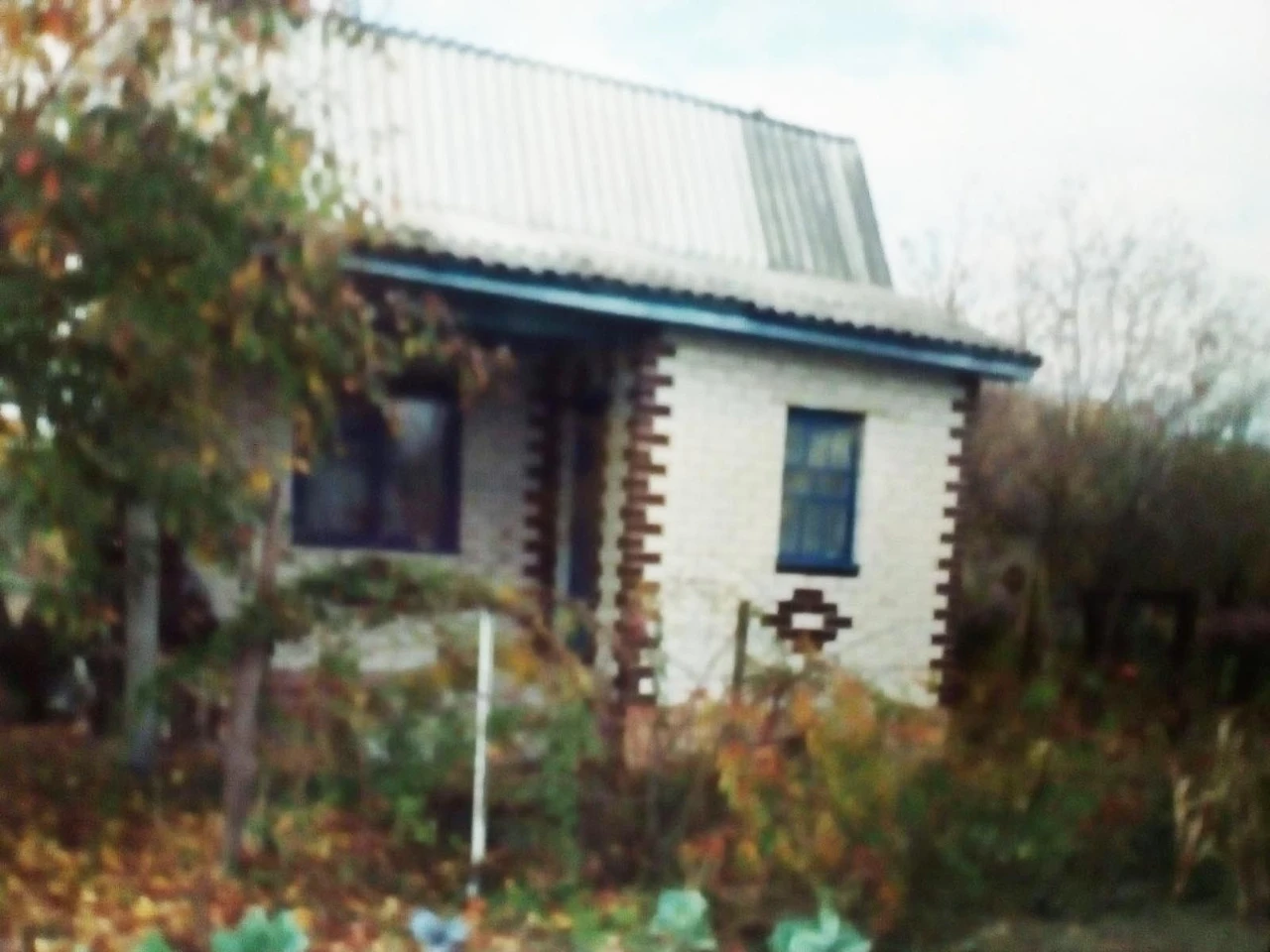 Country house for sale in Berezantse